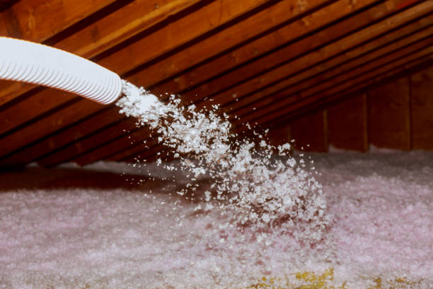 Best DIY Insulation Kits and Guidance in Mountain Park, GA