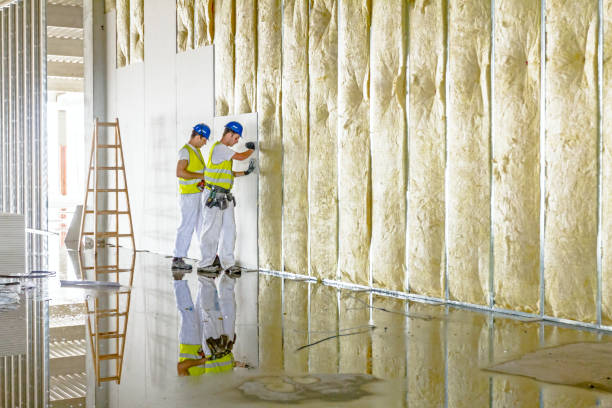 Best Insulation Maintenance and Repair in Mountain Park, GA